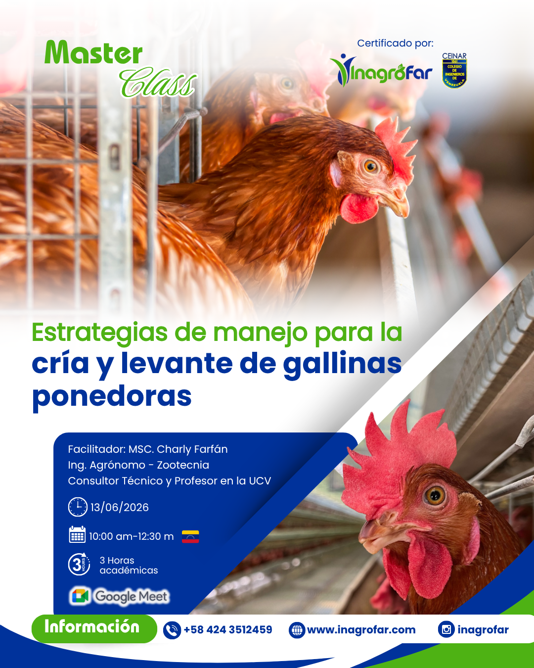 Manejo de cria y levante de pollonas gallinas ponedoras